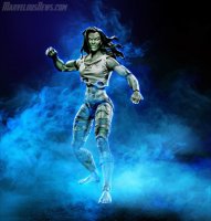 HASBRO MARVEL LEGENDS SERIES 6-INCH SHE-HULK__scaled_600.jpg